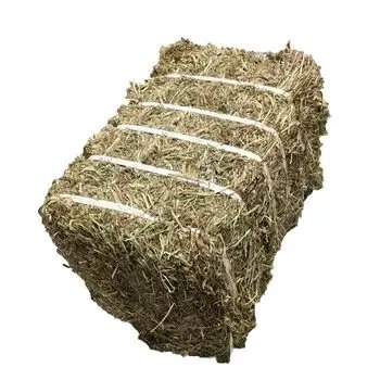 Purchase discount sales Alfafa Hay for Animal Feeding /alfalfa hay pellets /Timothy Hay in Bales at cheap prices