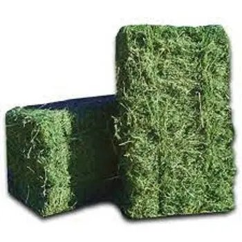 Purchase discount sales Alfafa Hay for Animal Feeding /alfalfa hay pellets /Timothy Hay in Bales at cheap prices