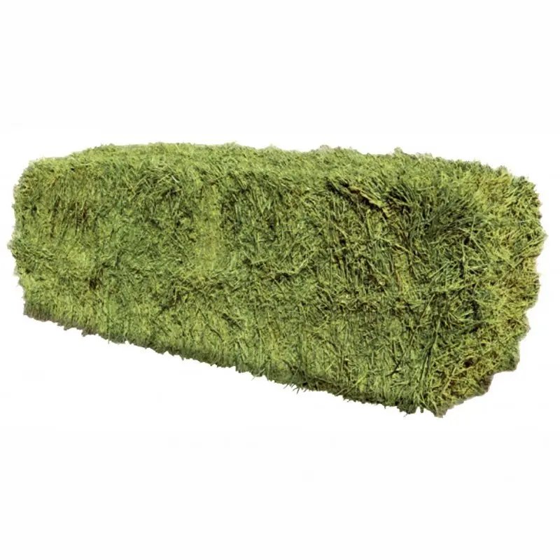 Purchase discount sales Alfafa Hay for Animal Feeding /alfalfa hay pellets /Timothy Hay in Bales at cheap prices