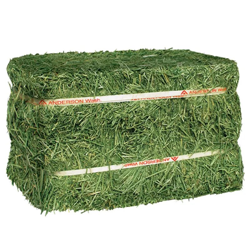 Purchase discount sales Alfafa Hay for Animal Feeding /alfalfa hay pellets /Timothy Hay in Bales at cheap prices