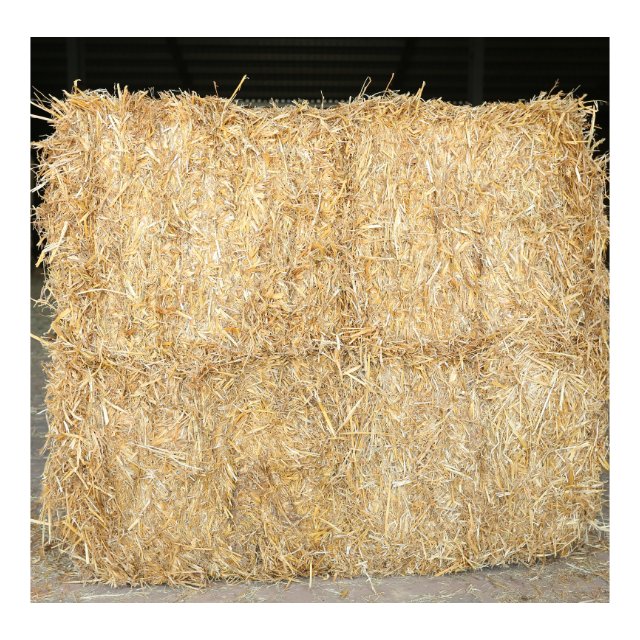 Top Grade chopped wheat straw hay for animal feed for sale