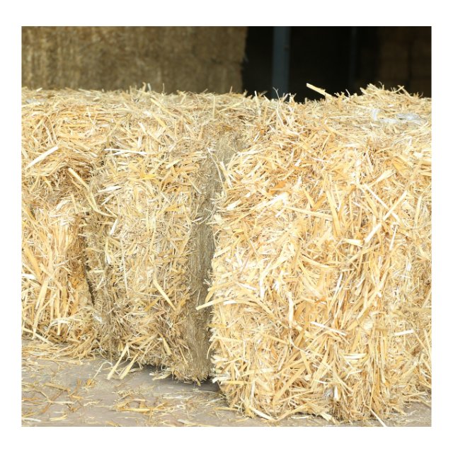 Top Grade chopped wheat straw hay for animal feed for sale
