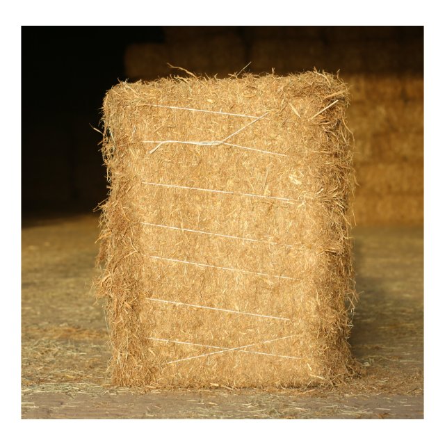Top Grade chopped wheat straw hay for animal feed for sale