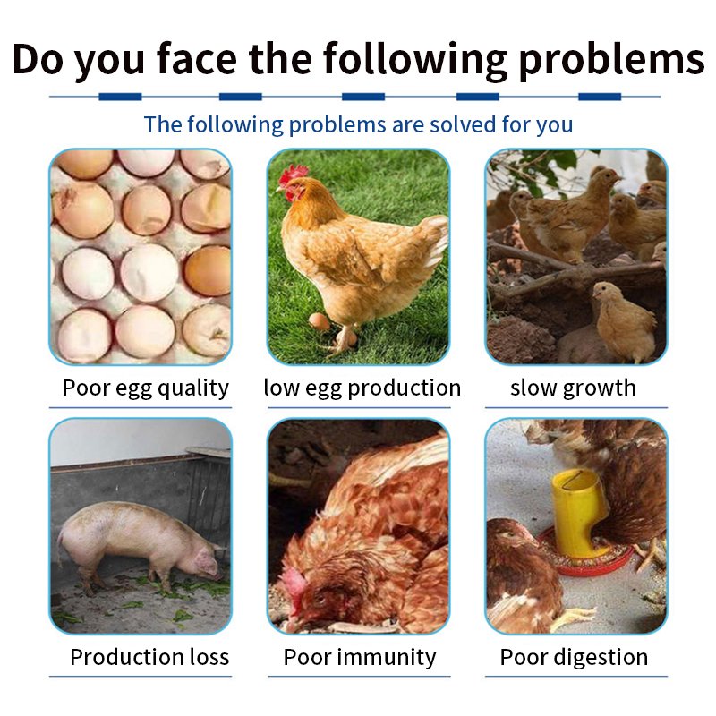High absorption high energy promote growth with cod liver oil animal feed mixture