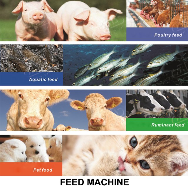 10T/H Automatic Animal Feed Pellet Production Line/Pellet Mill Plant for Animal Feed Pellet Making