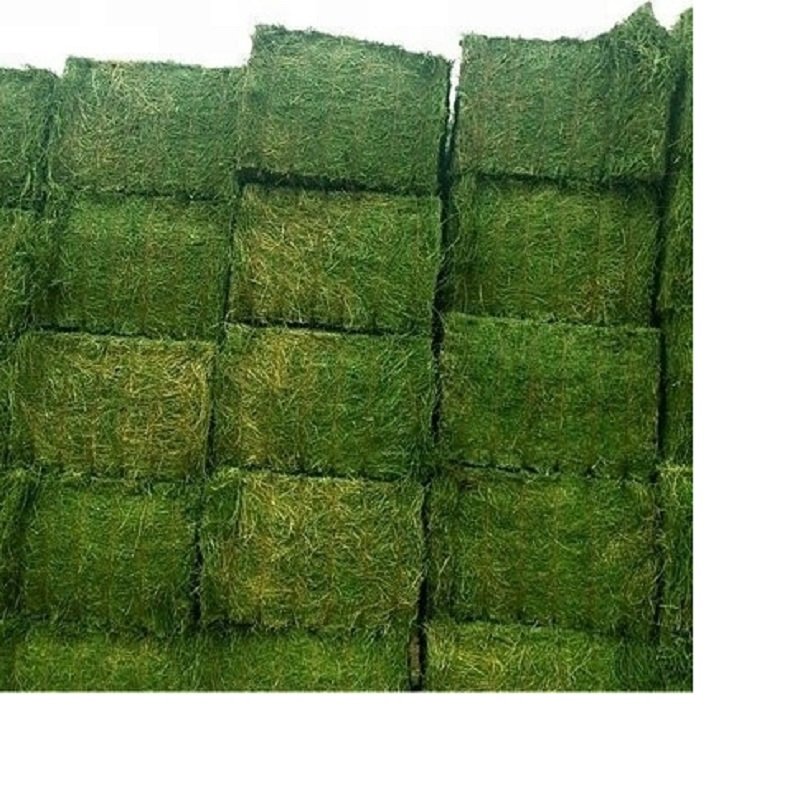 Top Quality Animal Feed Alfafa Hay for Animal Feeding Stuff Alfalfa Grass Alfalfa Hay At Very Cheap Price Top Canada Exporter
