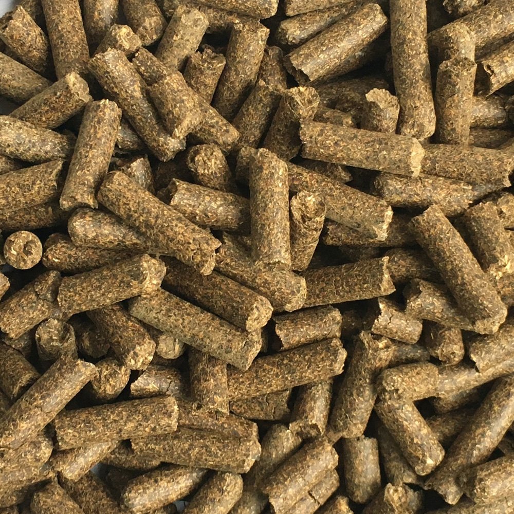 Popular sunflower meal promoting healthy growth and development for normal physiological activity of animals animal feed