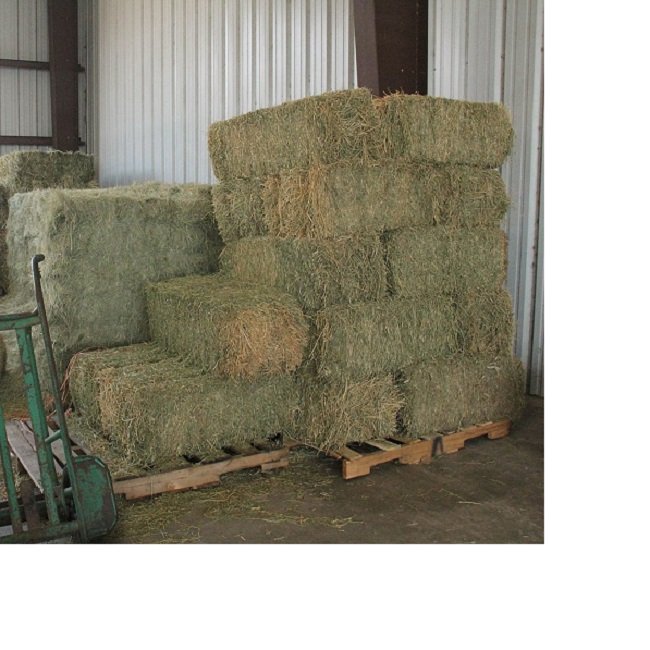 Premium Quality Alfalfa Hay / Timothy Hay, At Low Price / Cheap Top Quality Alfalfa Hay for Animal Feeding