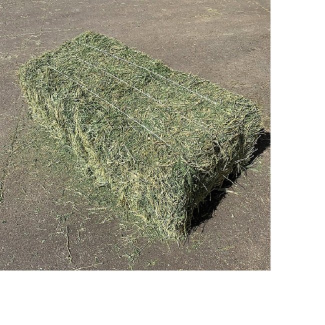 Premium Quality Alfalfa Hay / Timothy Hay, At Low Price / Cheap Top Quality Alfalfa Hay for Animal Feeding