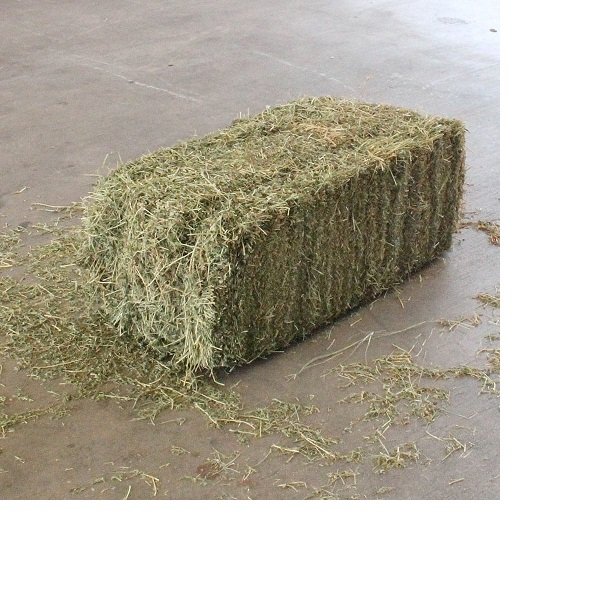 Premium Quality Alfalfa Hay / Timothy Hay, At Low Price / Cheap Top Quality Alfalfa Hay for Animal Feeding
