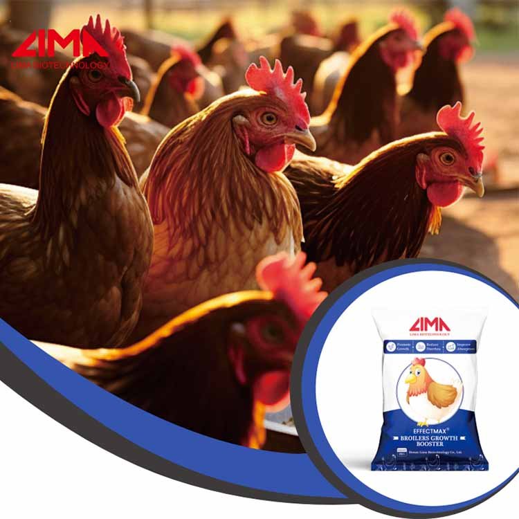 LIMA Amino Acid Animal Feed Additive Of Lysine/Methionine/Threoninen Premix For Layer Chicken Feed Broiler Growth Booster Price
