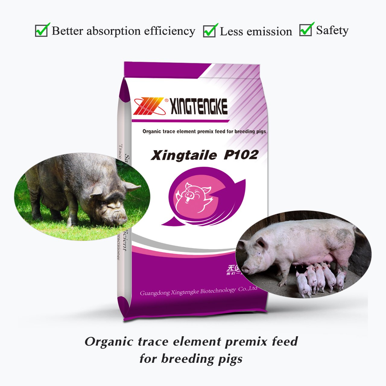 High Quality Pig Feed Poultry And Livestock Vitamin Feed Protein Swine Concentrate Premix Feed