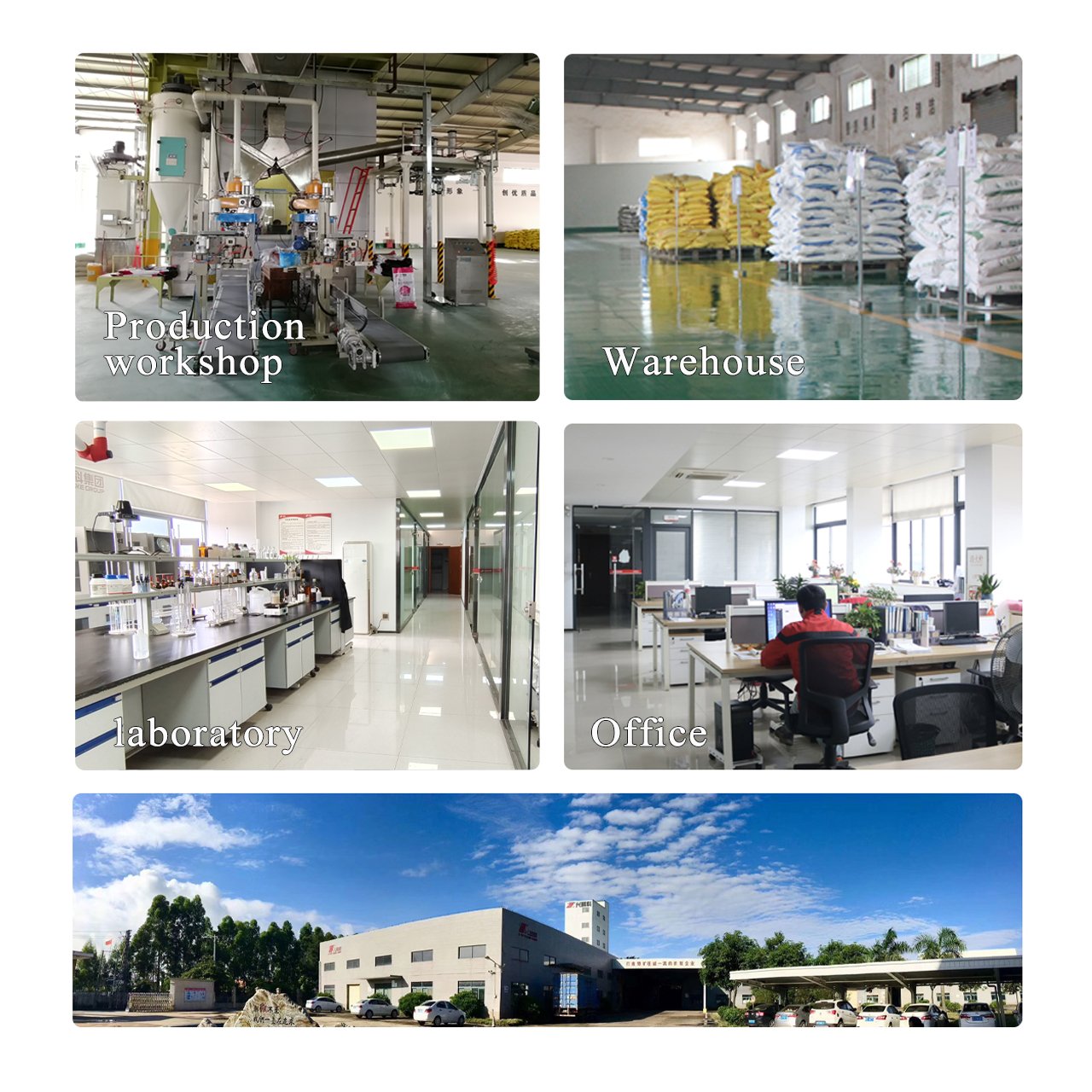 High Quality Pig Feed Poultry And Livestock Vitamin Feed Protein Swine Concentrate Premix Feed