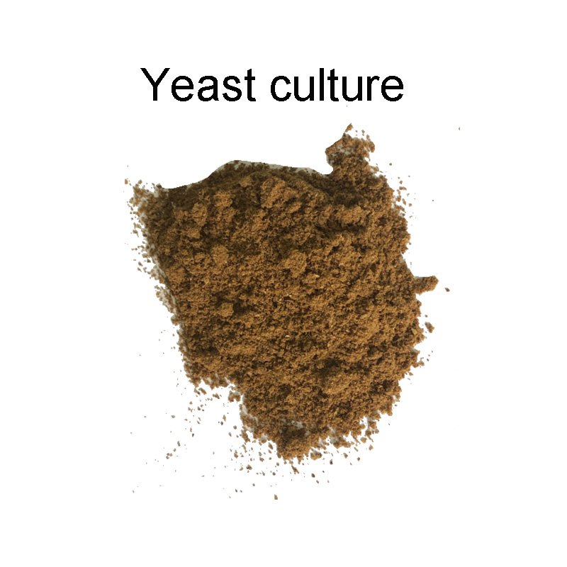 green feed additive yeast saccharomyces cerevisiae animal feed probiotic for chicken