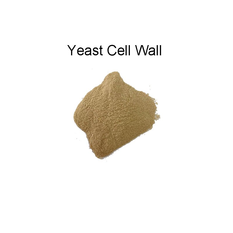 green feed additive yeast saccharomyces cerevisiae animal feed probiotic for chicken