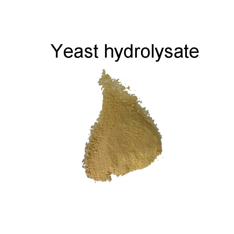 green feed additive yeast saccharomyces cerevisiae animal feed probiotic for chicken