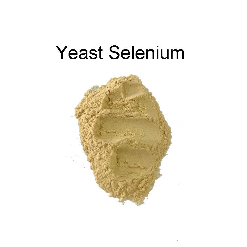 green feed additive yeast saccharomyces cerevisiae animal feed probiotic for chicken