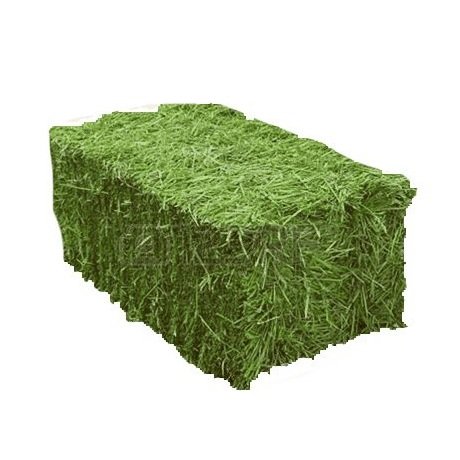 Natural Cattle Alfalfa Hay Animal Feed for sale