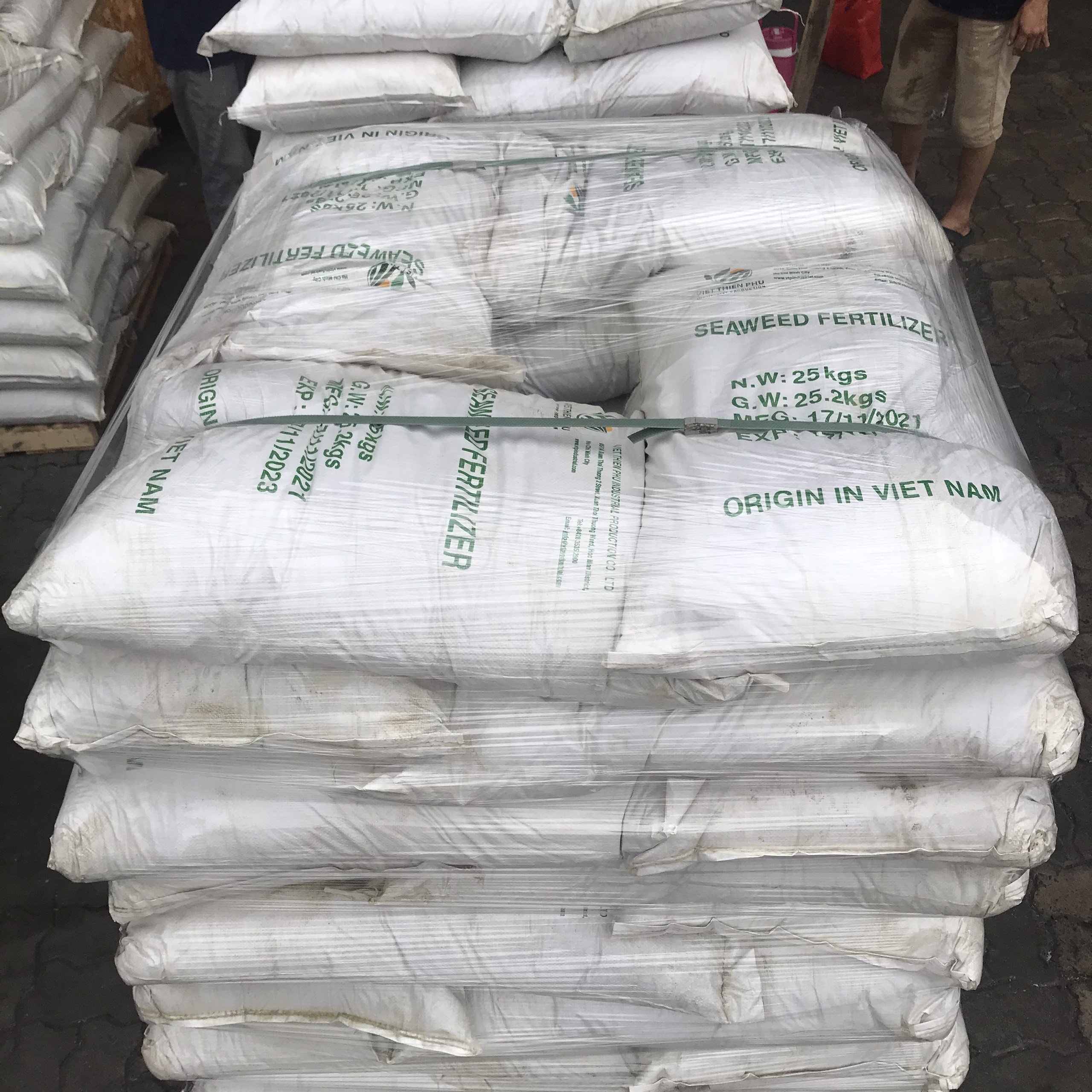 Green Seaweed Powder /Green Seaweed For Fertilizer And Animal Feed 2021