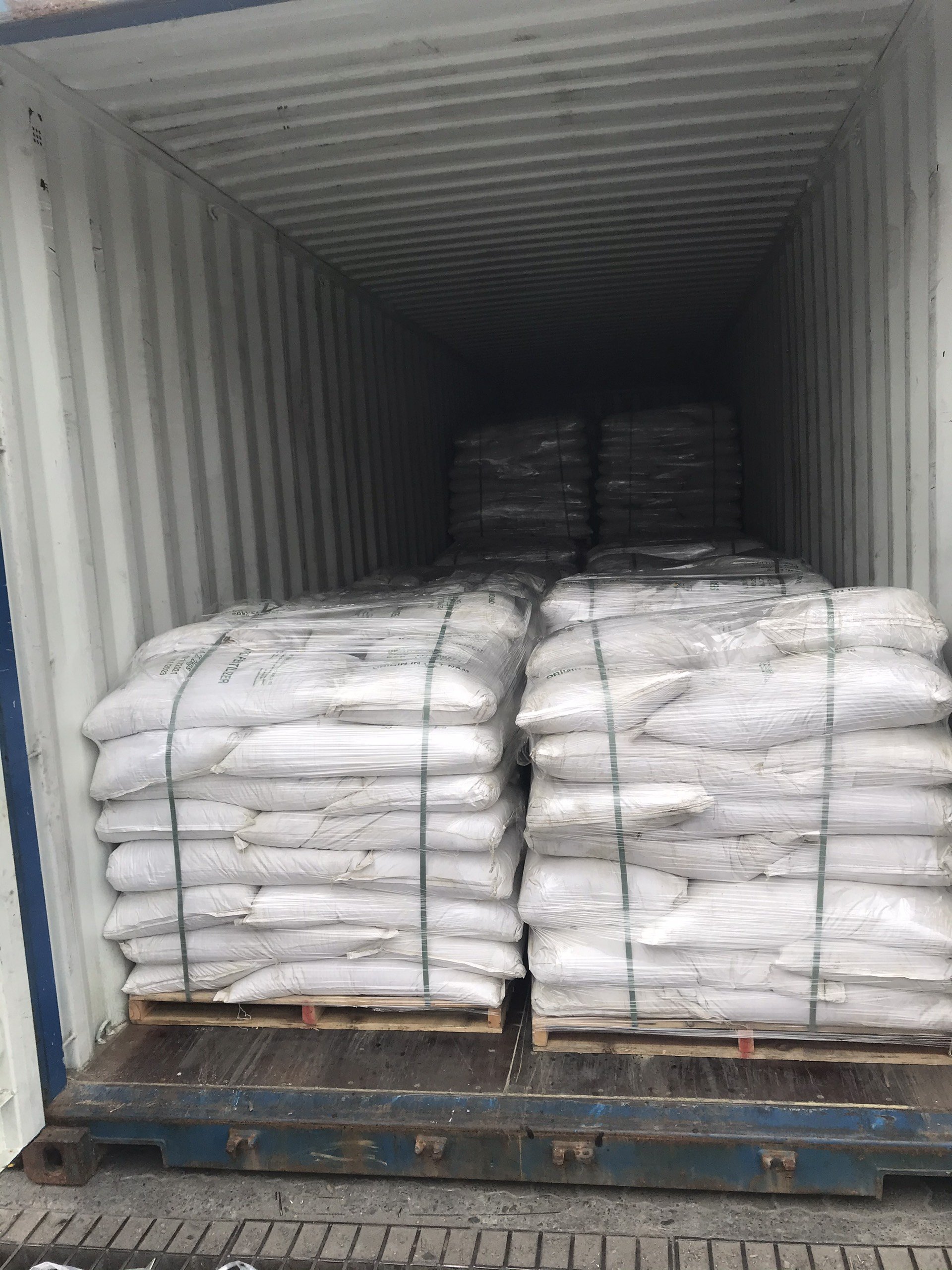 Green Seaweed Powder /Green Seaweed For Fertilizer And Animal Feed 2021