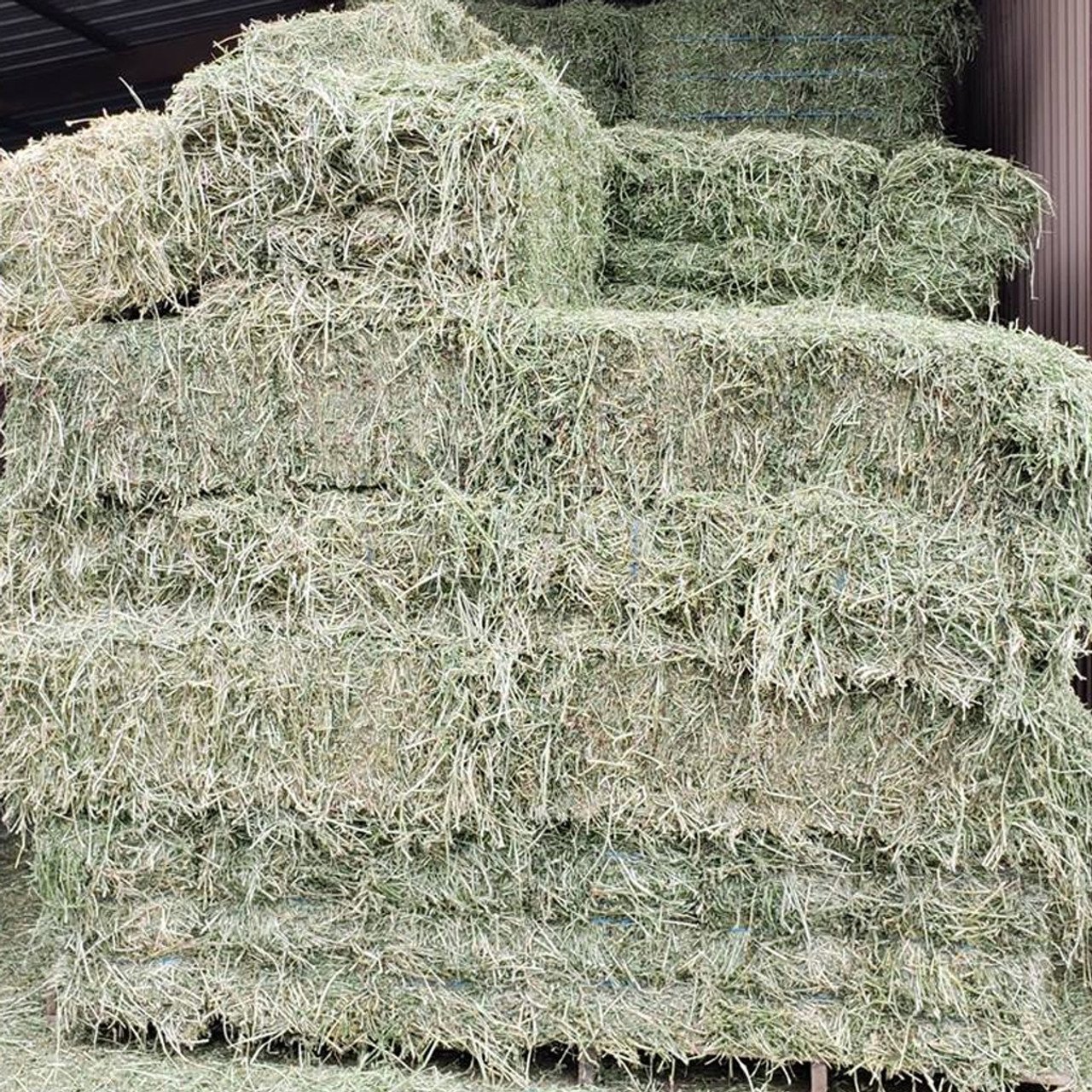 Alfalfa for feeding animals for cattle and other farm animals great quality from manufacturer alfalfa hay for sale