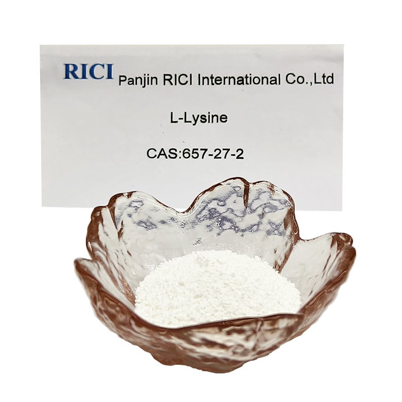 RICI l lysine animal feed additive high quality feed grade 98% animal l-lysine hcl feed additive