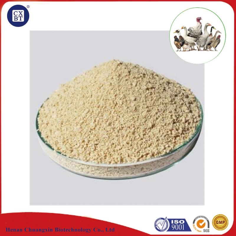 L-Lysine Sulphate Animal Feed Lysine Price 70 Feed Grade
