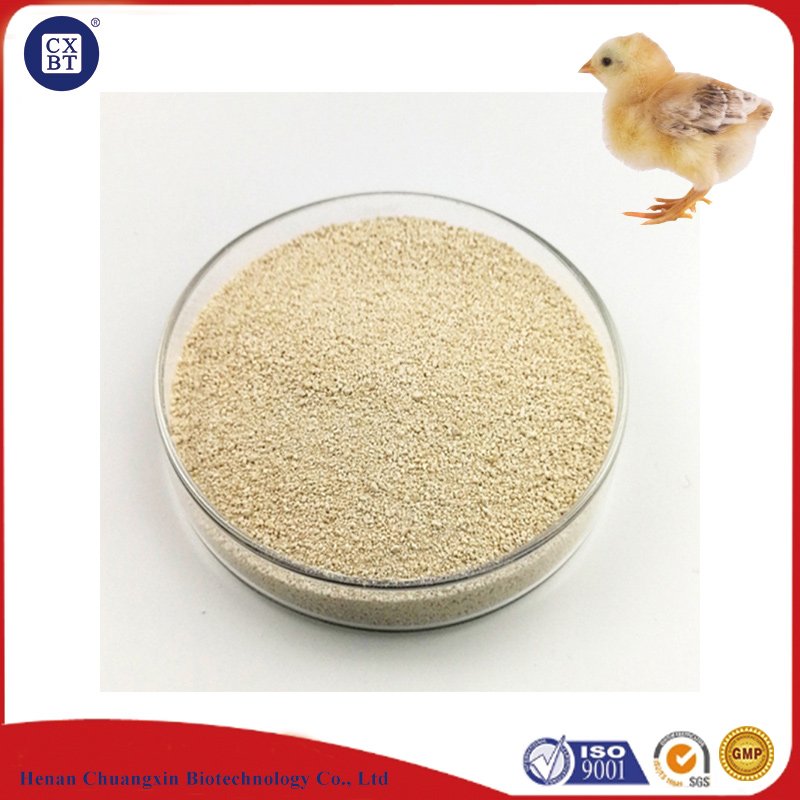 L-Lysine Sulphate Animal Feed Lysine Price 70 Feed Grade