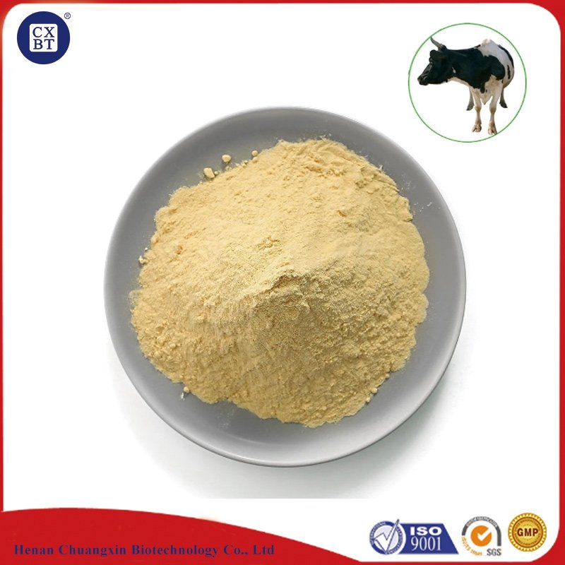 Poultry And Livestock Use Mixed Feed Yeast Powder Animal Feed Additive Dry Yeast Powder 65%