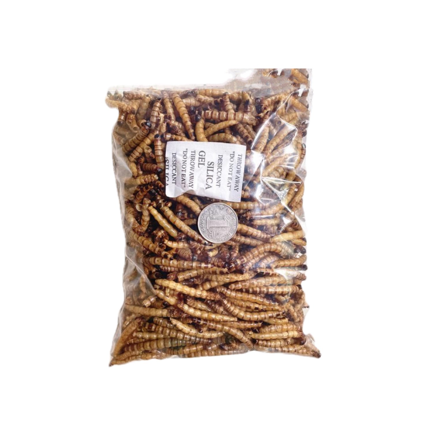 Mealworms dried for chicken poultry meal is of great protein nutrition