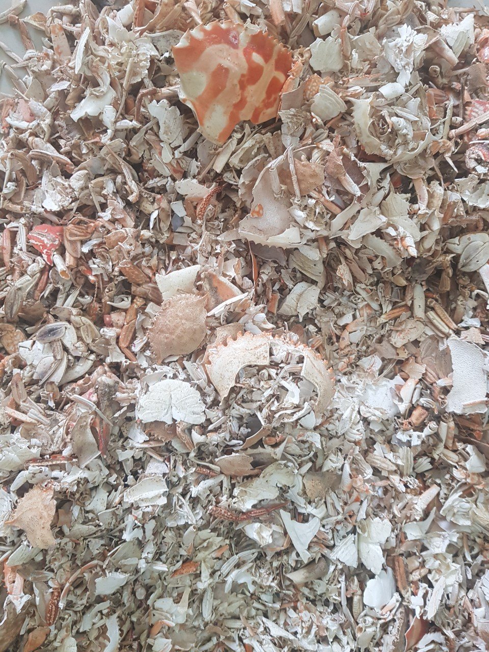 DRIED SHRIMP SHELL THE BEST QUALITY USE FOR HUMAN FOOD OR HIGH PROTEN ANIMAL FEED FROM VIETNAM