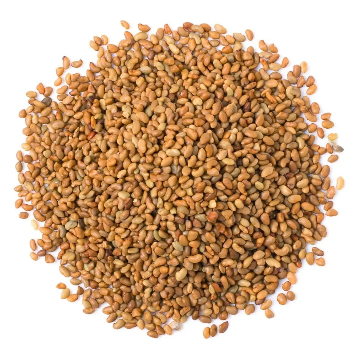 Latest Stock Arrival of Incomparable Quality 100% Organic and Natural Animal Feed Food Grade Alfalfa Seeds at Best Price