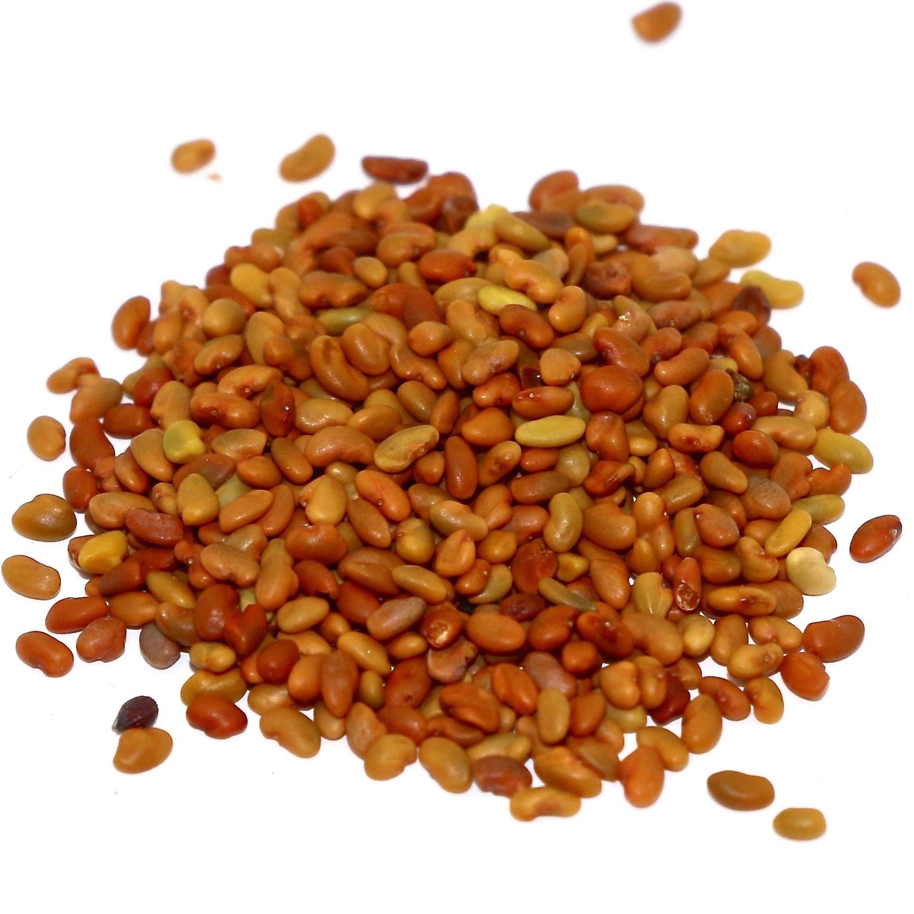 Latest Stock Arrival of Incomparable Quality 100% Organic and Natural Animal Feed Food Grade Alfalfa Seeds at Best Price