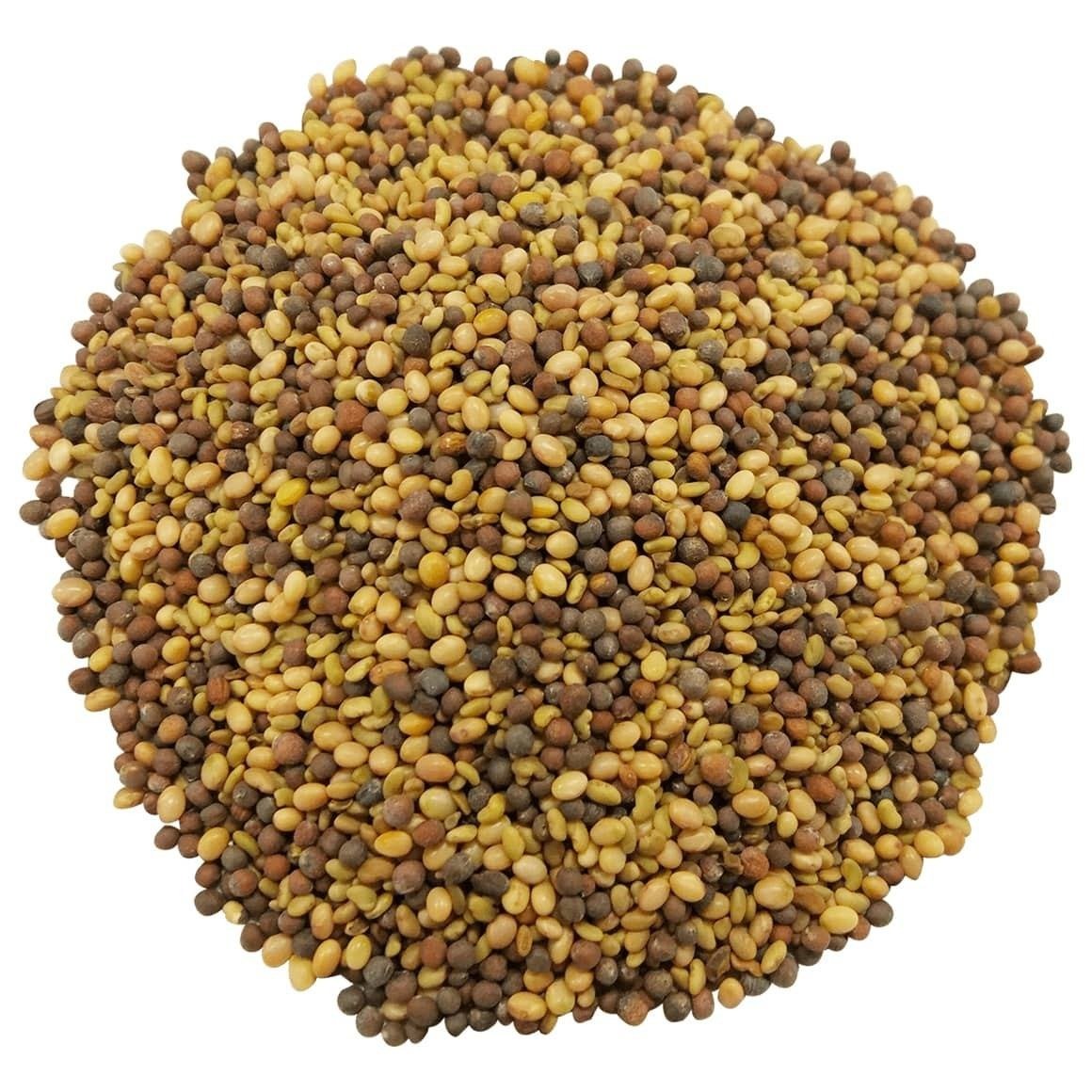 Latest Stock Arrival of Incomparable Quality 100% Organic and Natural Animal Feed Food Grade Alfalfa Seeds at Best Price
