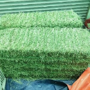Top Grade Animal Feed Alfalfa Hay From Cyprus