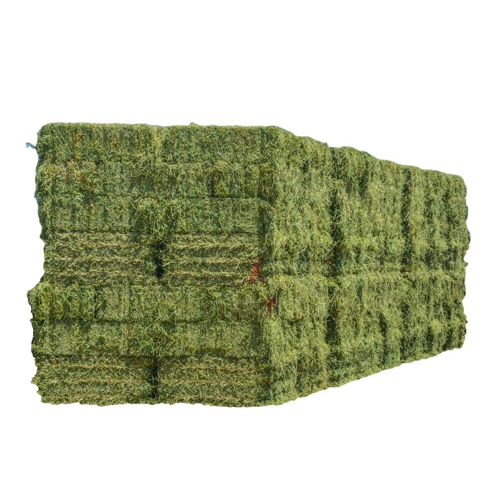 alfalfa hay for animal feeding and seeds cheap alfalfa hay bales packing bulk suppliers cattle feed and horse feed