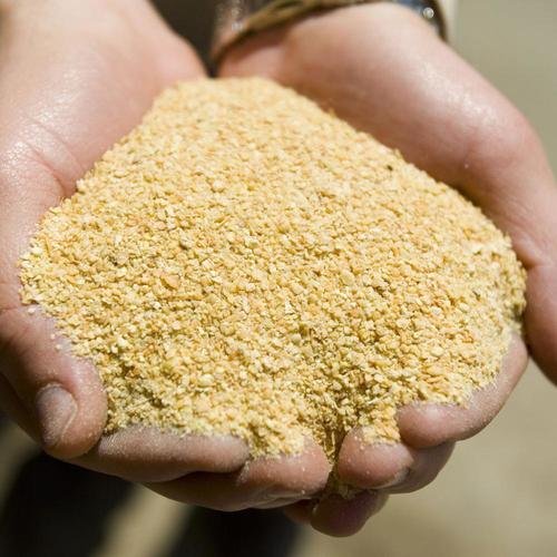 Protein fish meal for poultry 100% Pure Fish Meal Animal Feed