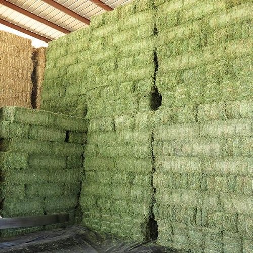 Wholesale Alfalfa Hay for Cattle and Horse Feed Dried Protein Fish Meal in Bales or Bags