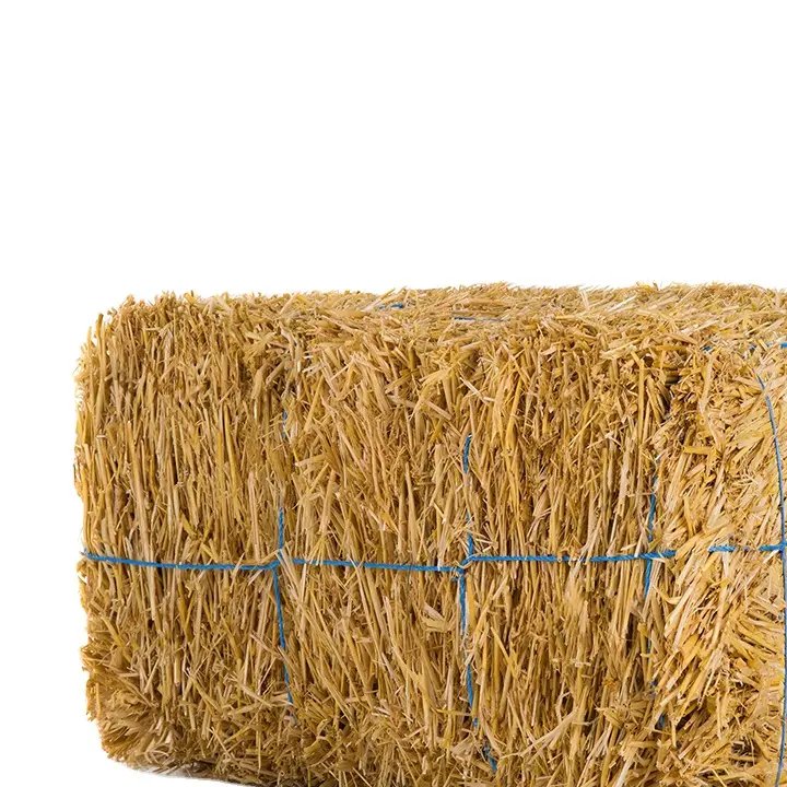 Superior-Quality Wheat Straw Hay for Fish Food Dogs Cattle Competitive Wholesale Rates Prime Exporter from Pakistan