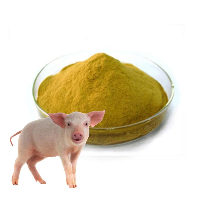 hot selling yeast Enhance beer Nutrient Promote Bulk animal feed protein custom Beer Yeast Nutrition
