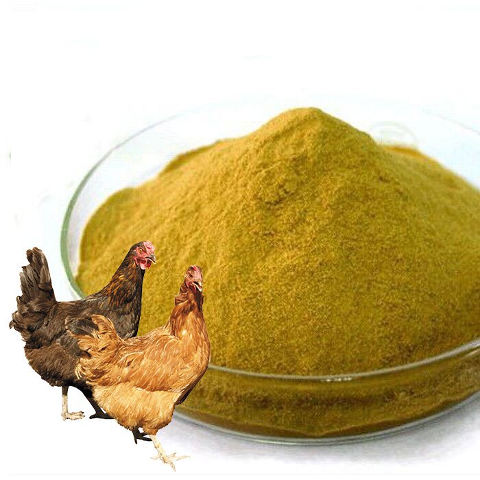 hot selling yeast Enhance beer Nutrient Promote Bulk animal feed protein custom Beer Yeast Nutrition
