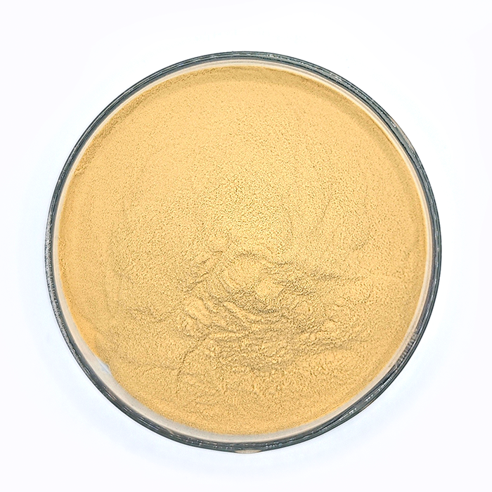 hot selling yeast Enhance beer Nutrient Promote Bulk animal feed protein custom Beer Yeast Nutrition