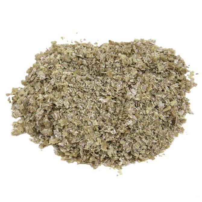 Wheat Germ | Bran Feeds, Supplements & Seeds in Europe for sale