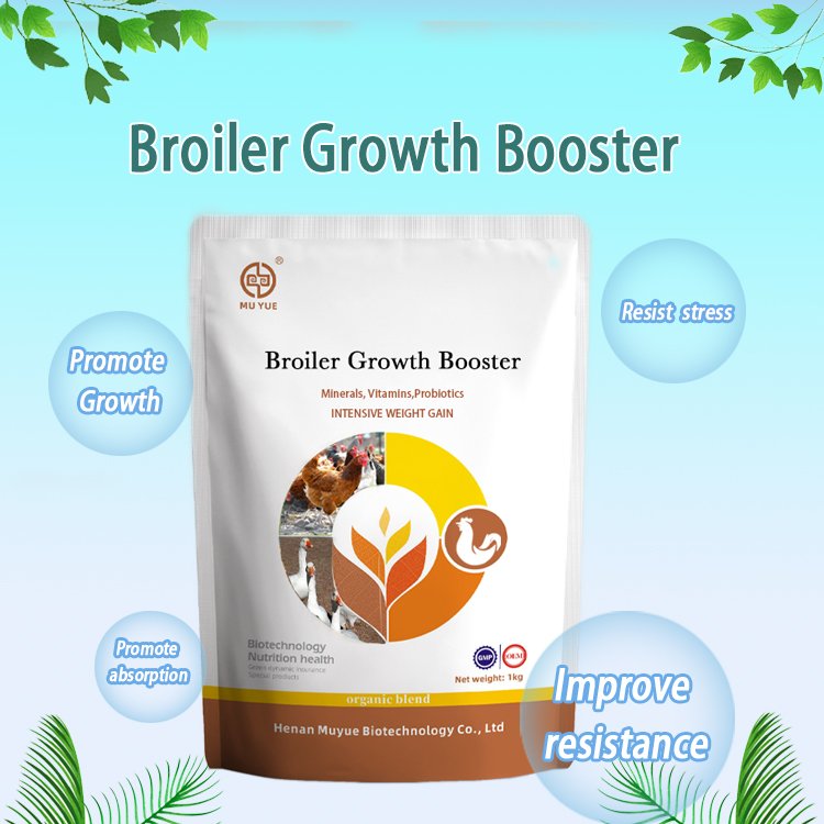 Animal feed additives chicken feed additives broiler growth booster Broiler promoter fast growth and weight