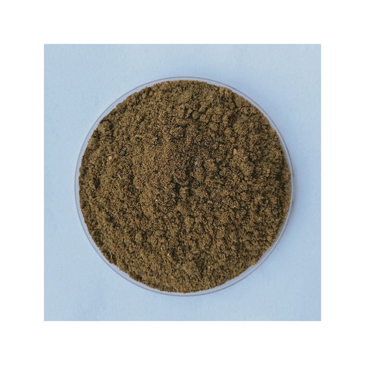 High Protein 65% Fish Meal Grade Brazil Meal Bulk Sale for Animal Feed and Agriculture Soybean Powder Appearance Wholesale