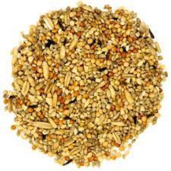 Buy canary seeds At Wholesale Best Factory Price For Bird And Animal Feed