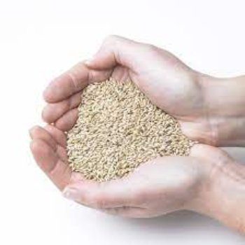Buy canary seeds At Wholesale Best Factory Price For Bird And Animal Feed