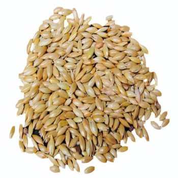 Buy canary seeds At Wholesale Best Factory Price For Bird And Animal Feed