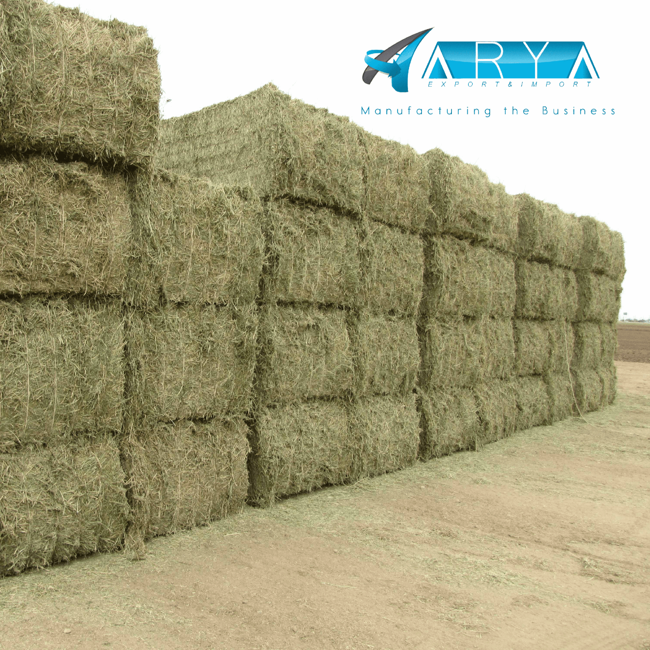 premium grade alfalfa hay bale for sale Bulk alfalfa hay bale for sale Animal feed hay peanut
