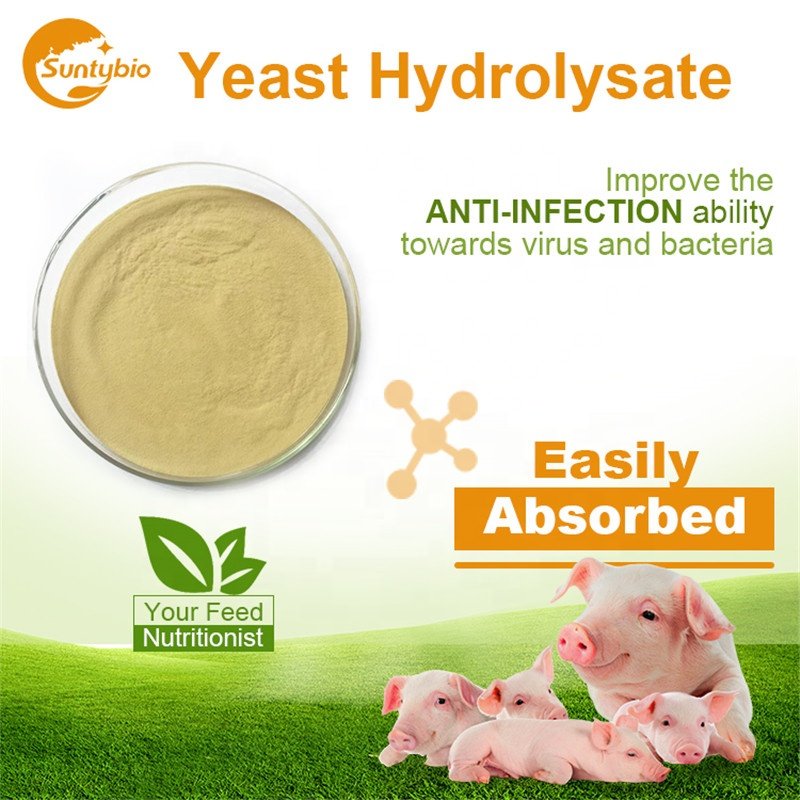aqua animal feed nutritional yeast hydrolysate/autolyzed Yeast protein Feed Grade Yeast for poultry